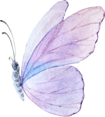 Lilac Watercolor Butterfly Illustration