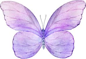 Purple  Lavender Watercolor Butterfly